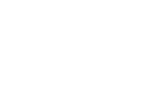 Groom 'n' Style